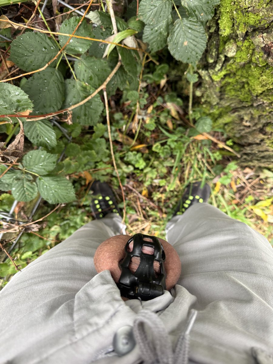Gayswitch's tweet photo. Day 738/840🔒. #teamlocked #chastity #bdsmsub #locktober Autumn vibes. Still looking for an active Keyholder 🐽. Add time to or remove time from my lock by using this link: https://t.co/fhhqxXmVm2 https://t.co/3UB9YEcmY7