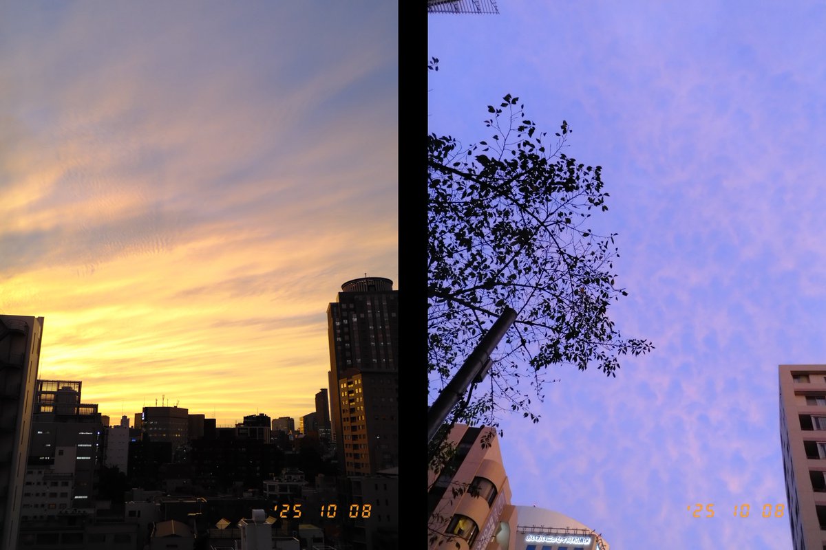 kisaragi_sarah's tweet photo. すごい夕暮れでした。
台風が近づいているから。
風雨の強くなりそうな地域の方はお気をつけて。
#xhalf
#xhalfdiary https://t.co/Onx3V1uL1H