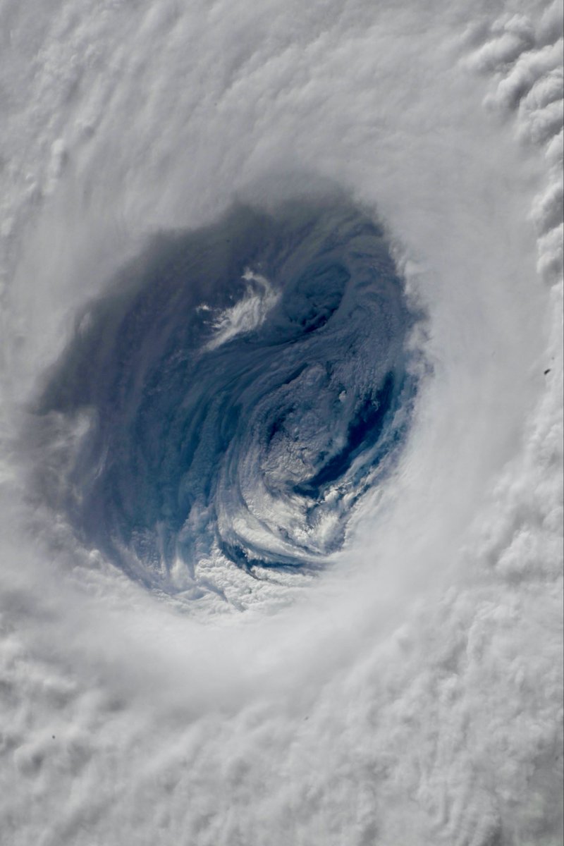 Stormyalert's tweet photo. Imágenes espectaculares del Tifón Halong!
Así se ve este ciclón desde la ISS.
Aunque no ha llegado a tener intensidades de categoría 5, su ojo fue precioso y simétrico.
#Halong #Typoon #Cyclone https://t.co/UkeKgPUw4I