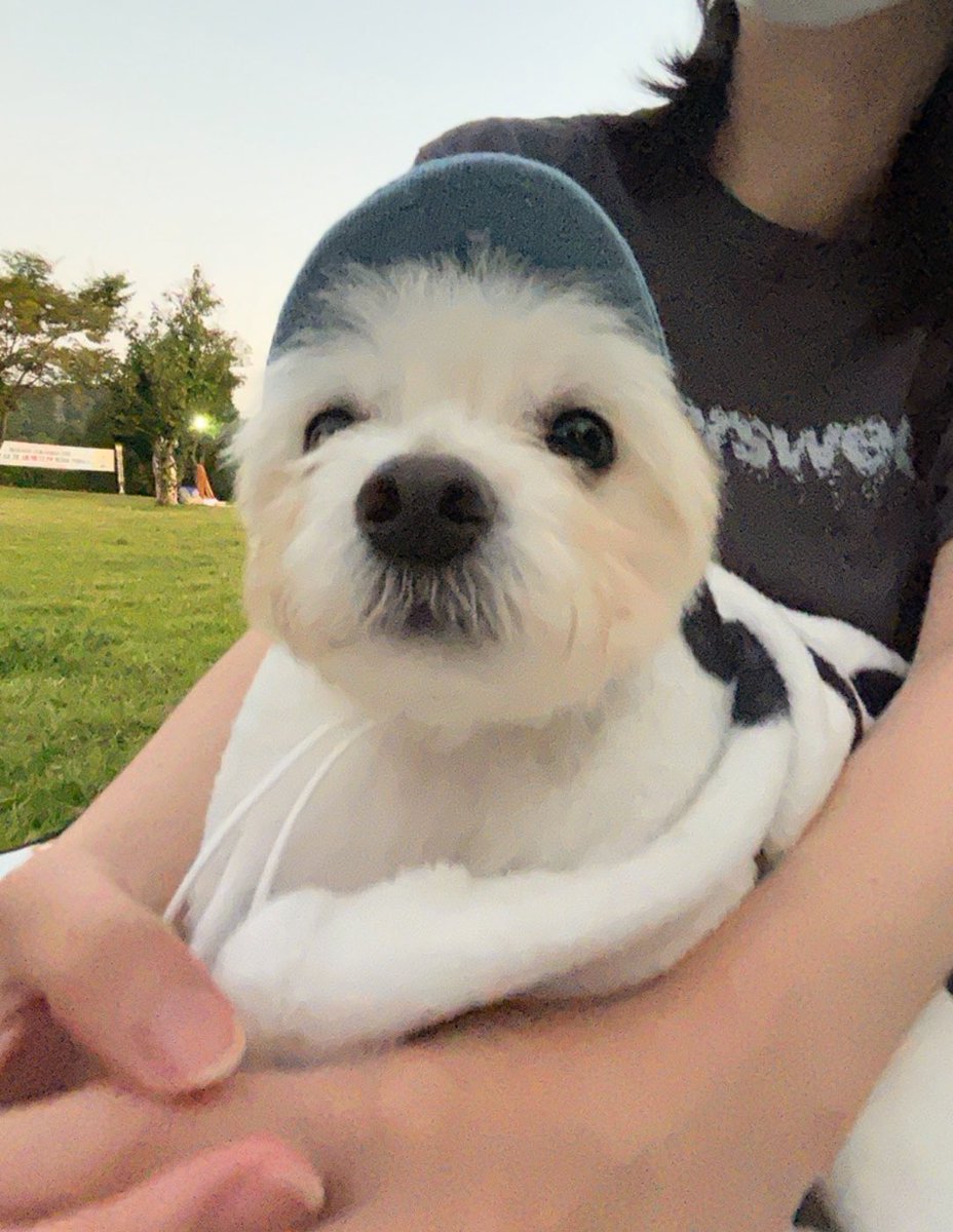 Noopppp_y's tweet photo. 피크닉 나온다고 모자 썼으요 https://t.co/6w3hO7qKzS