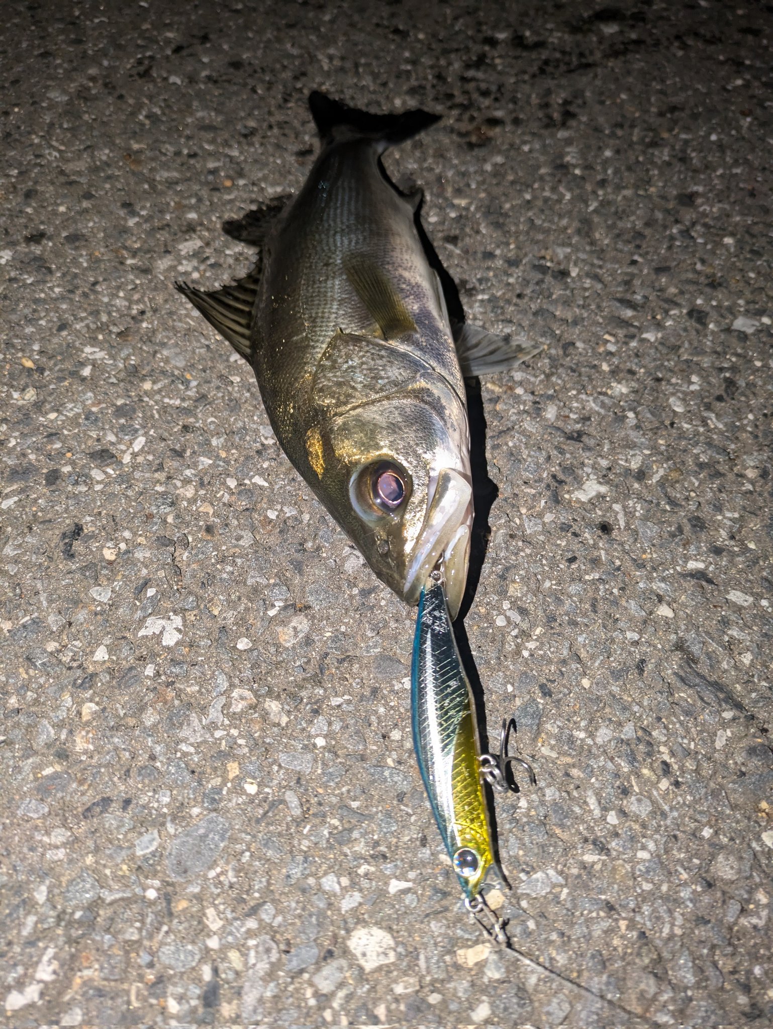 新・風神四号 (@3zvfiWTbVeS1Uss) / X