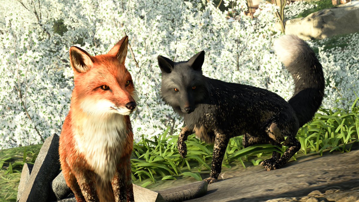 marka_game's tweet image. #PSshare #PSBlog 
#GhostofYotei
