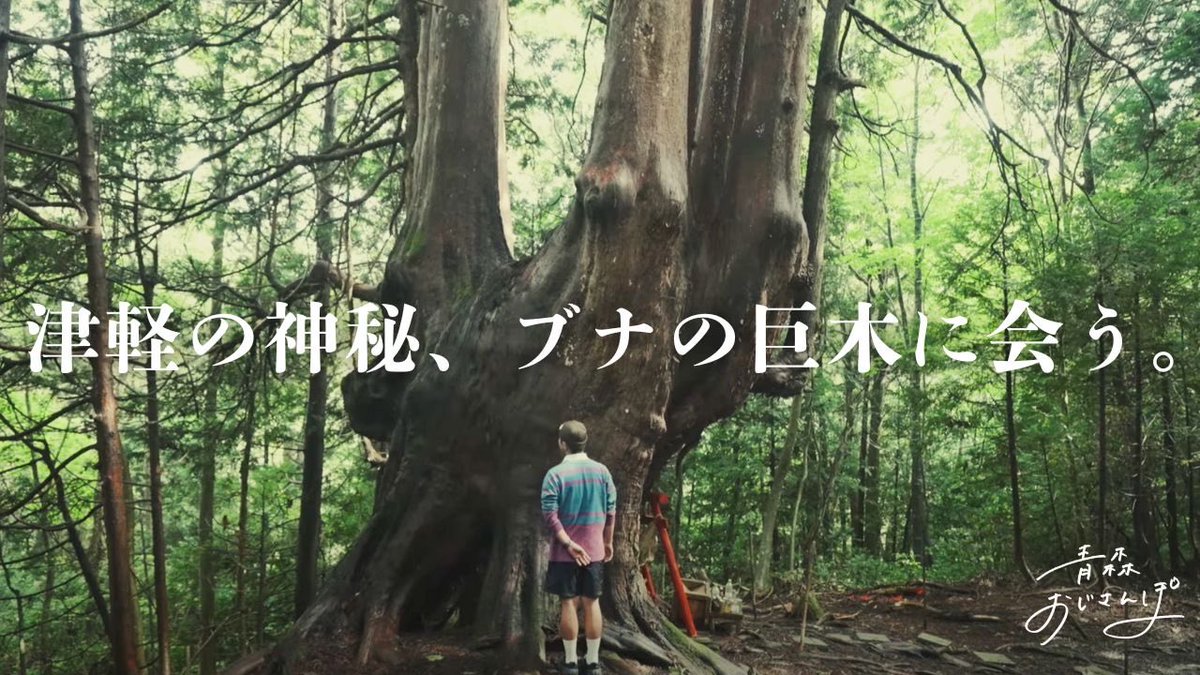 d-iZe（ダイズ） 10/25アルバムリリース on X