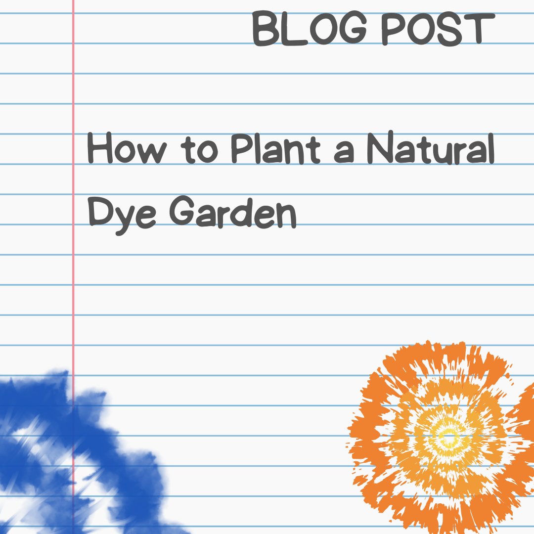 UpTheGardenCo's tweet photo. Imagine creating vibrant, lasting colours for your fabrics using nothing more than the plants growing in your own back garden. https://t.co/DWYBpPZjlu... #naturaldyes #dyersgarden #garden #naturaldying #woad #fabricdyes #sustainableliving l #natural #flowergarden #selfsufficient https://t.co/WuqGHIlPJo