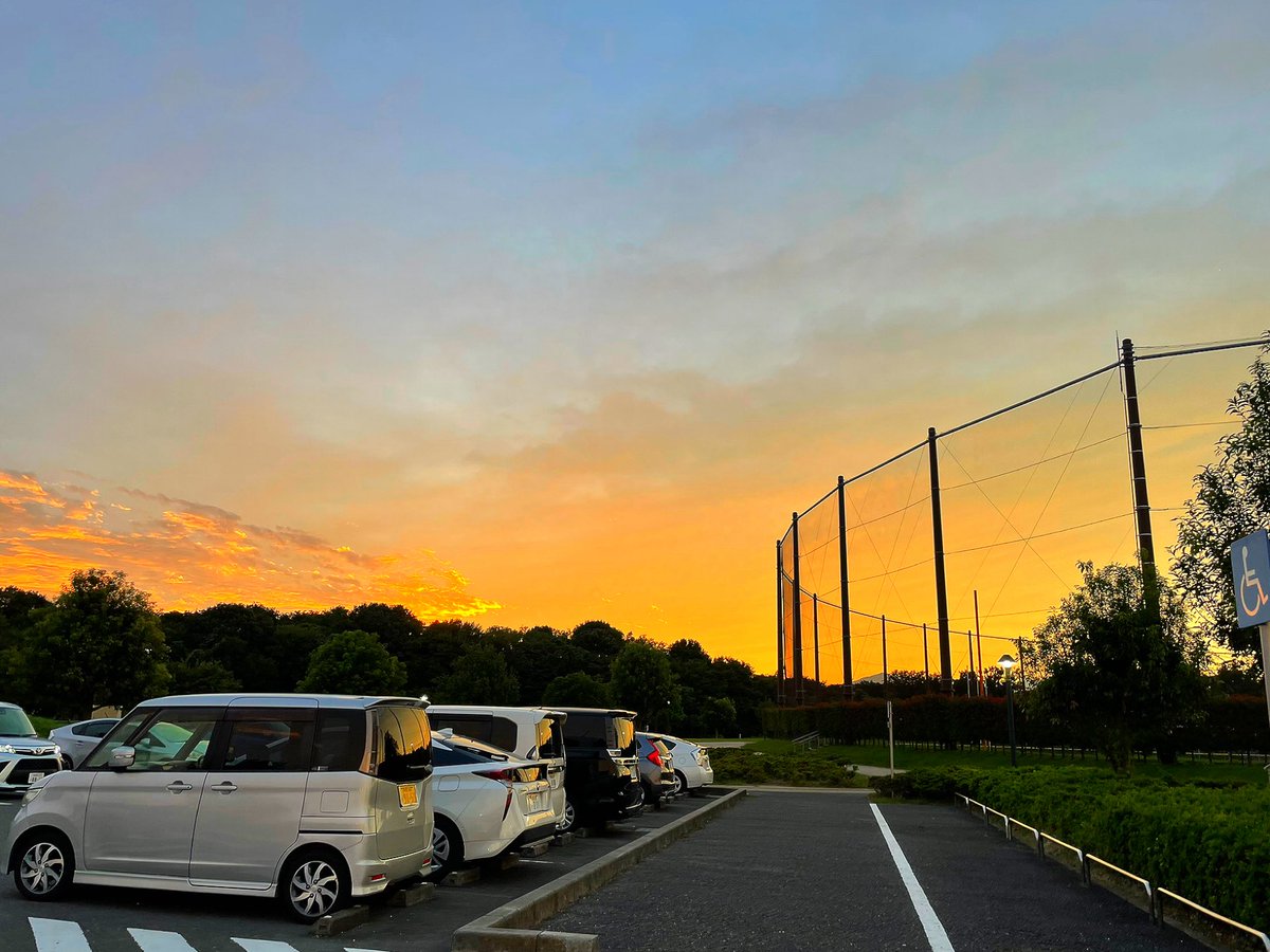 pooo0104's tweet photo. 仕事後にゆとりの森でさんぽ。満足したみたいで何より！広すぎて人間がバテた https://t.co/v7CeCMfwLt