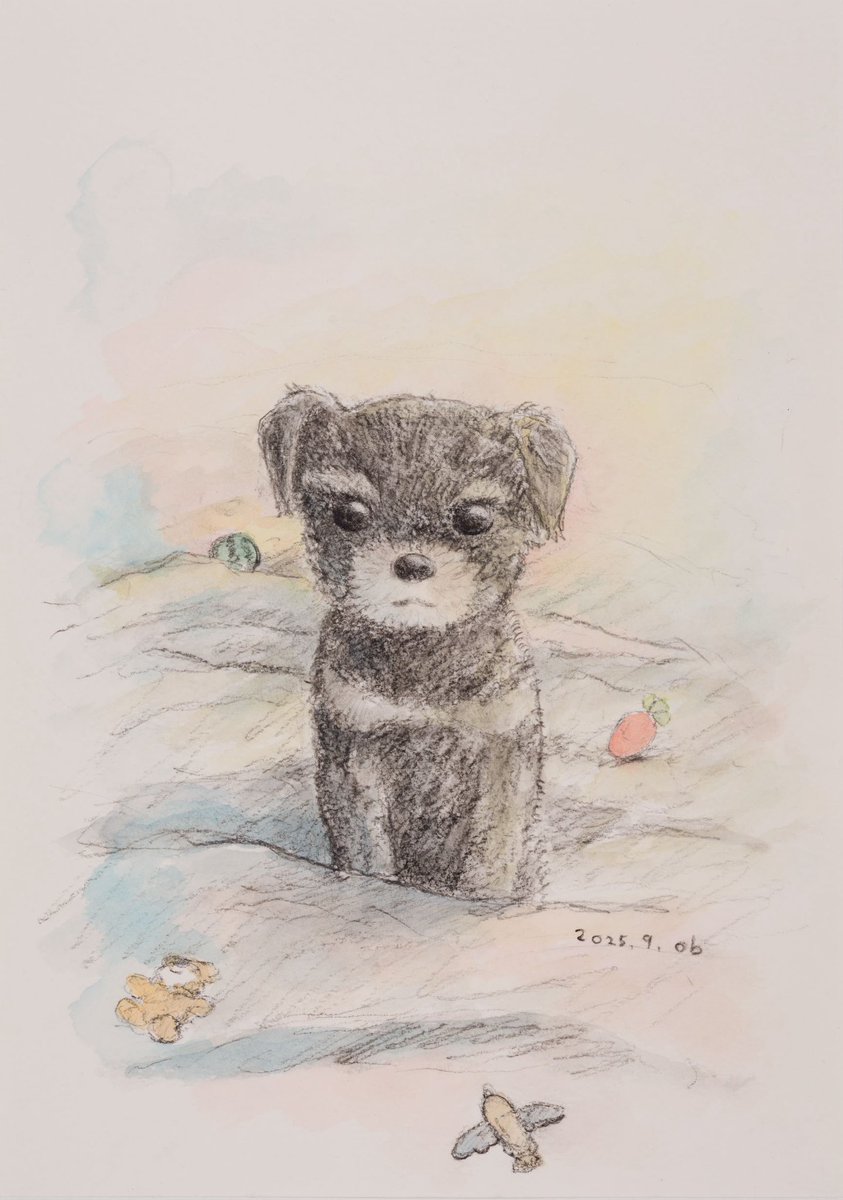 Kaikai Kiki Gallery tweet media