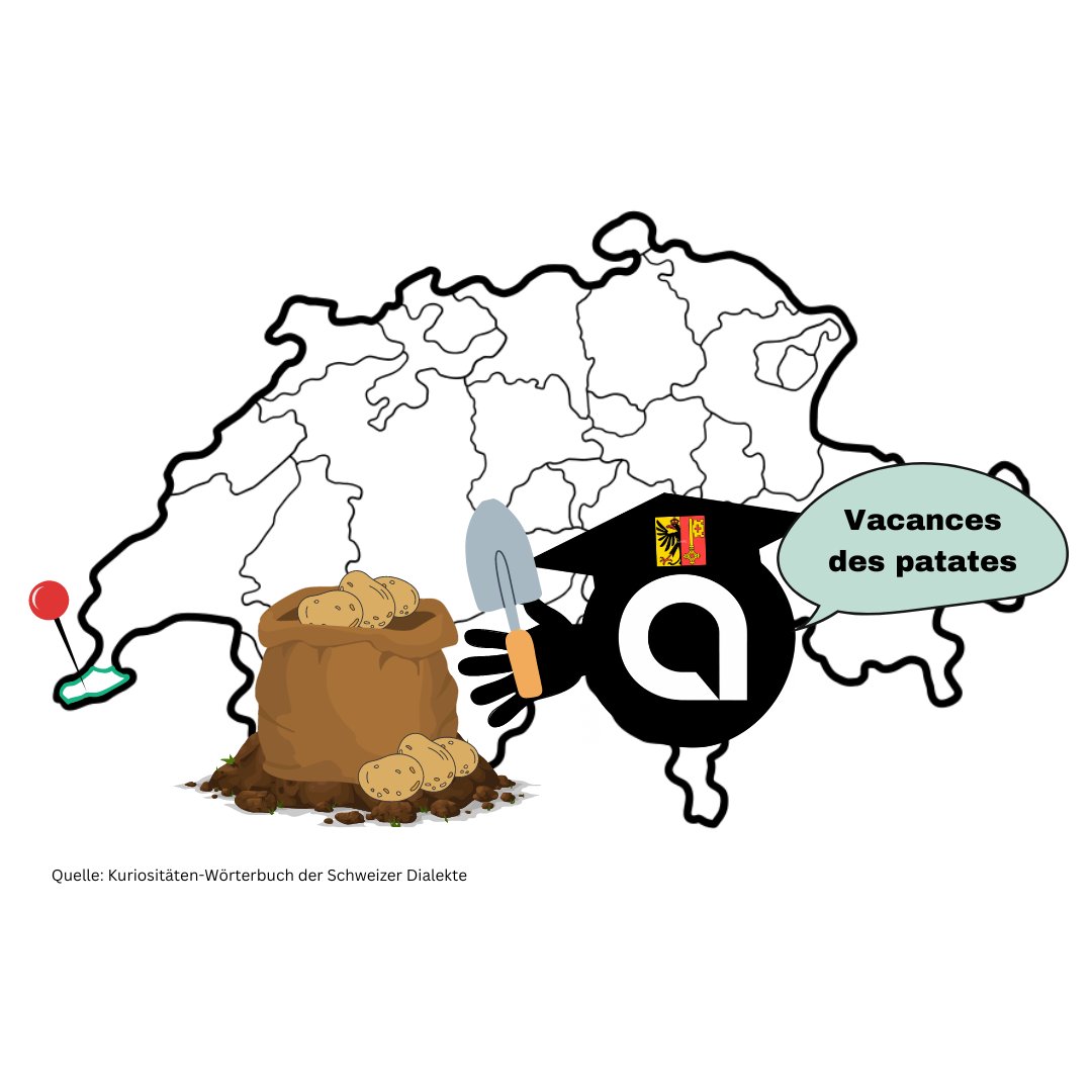 recapp IT tweet media