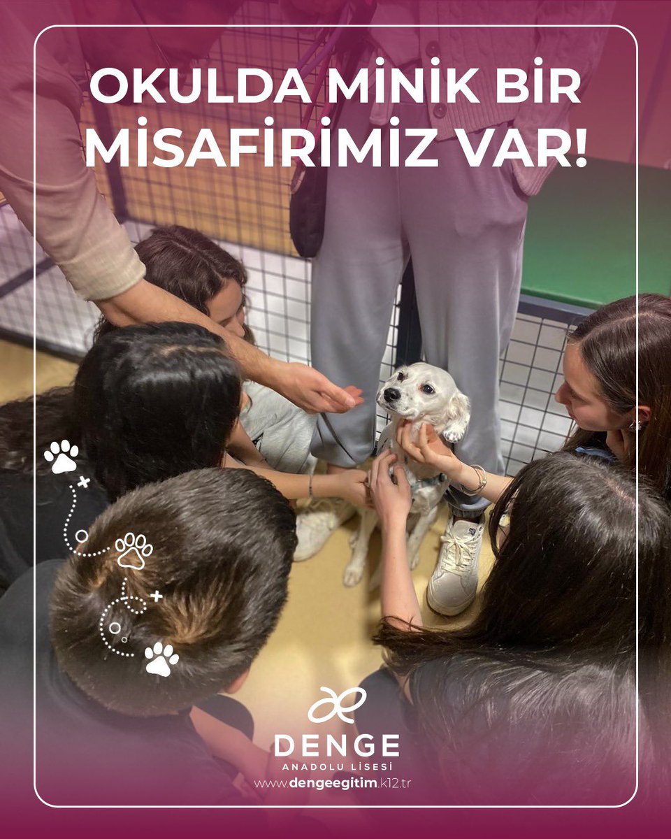 İçinde hayvan sevgisi taşıyan kocaman yürekli öğrencilerimiz var bizim❤️