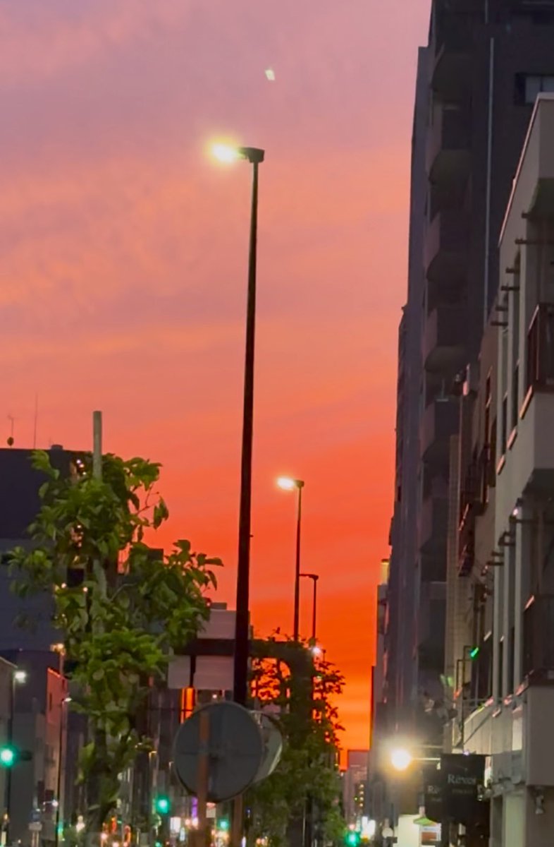 cogi1cogi2's tweet photo. 今日は夕陽が燃えてたね
#TodayisOver #Horizone #inTokyo https://t.co/82EAtAfRXE