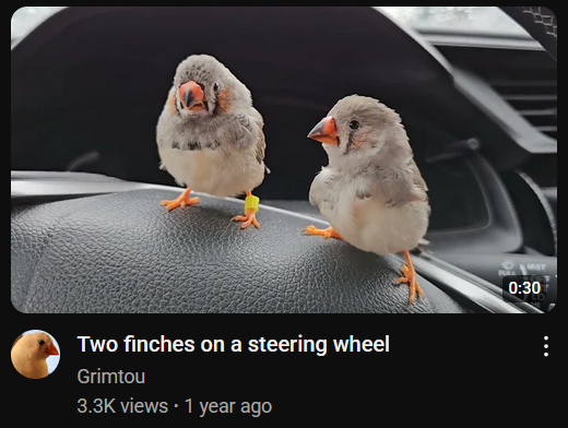 life changing video