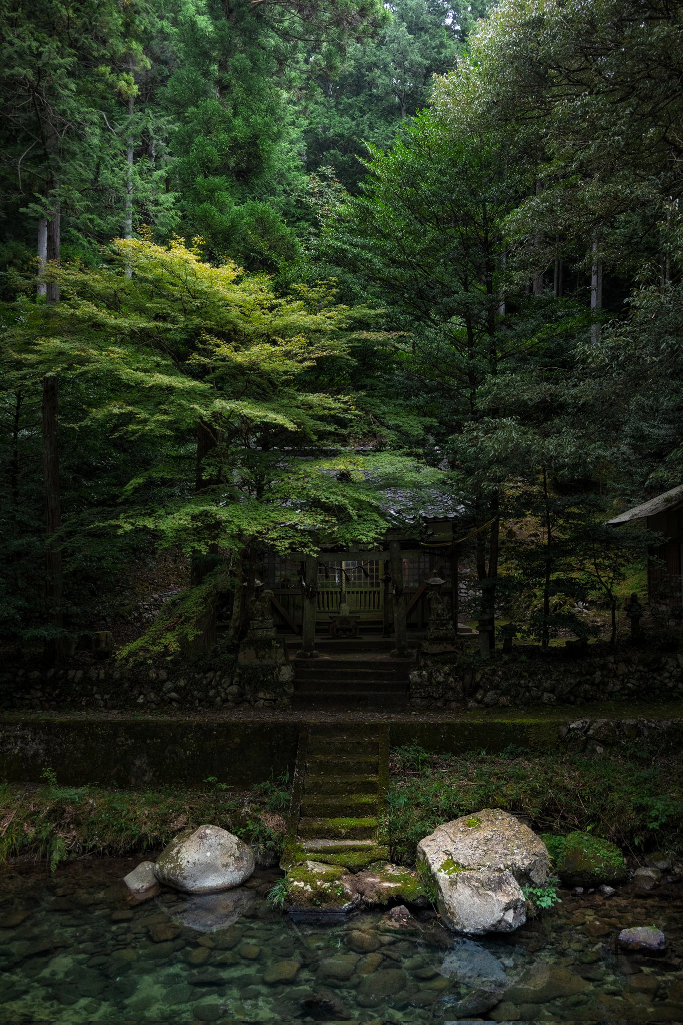 鯨𓅨 (@Cisp2) / X