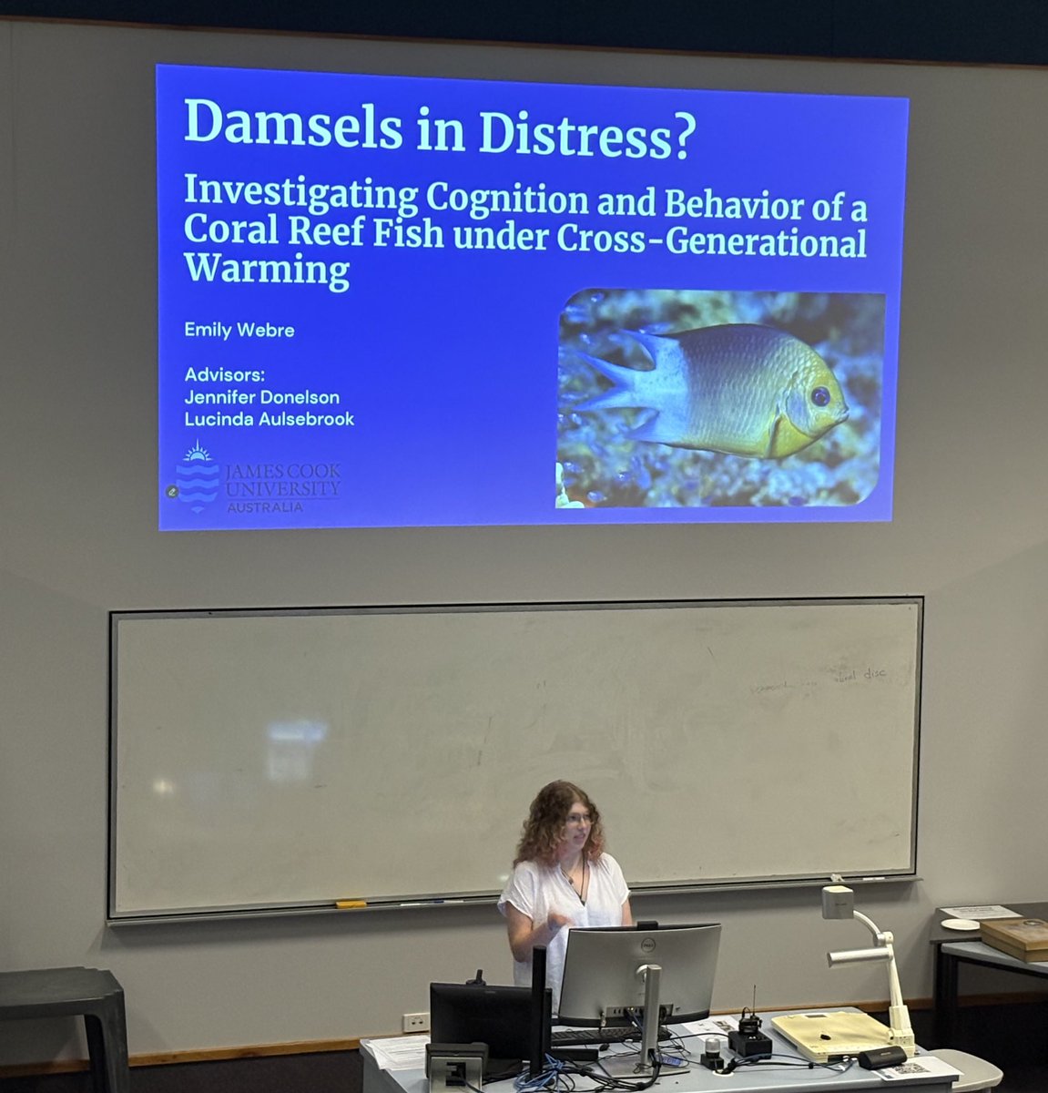 Lucinda Aulsebrook tweet media