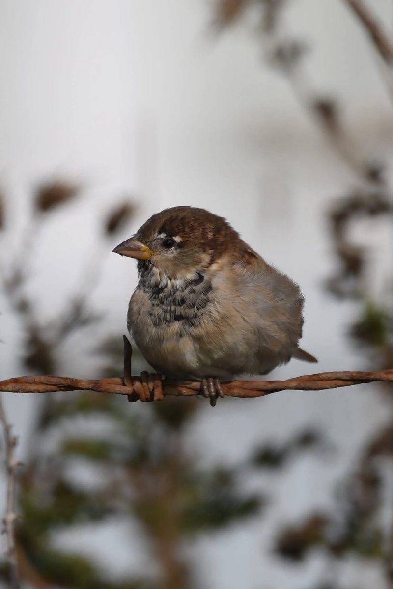 Та нар дээр дооргүй эр эмгүй улс төржихийг харсан би😃