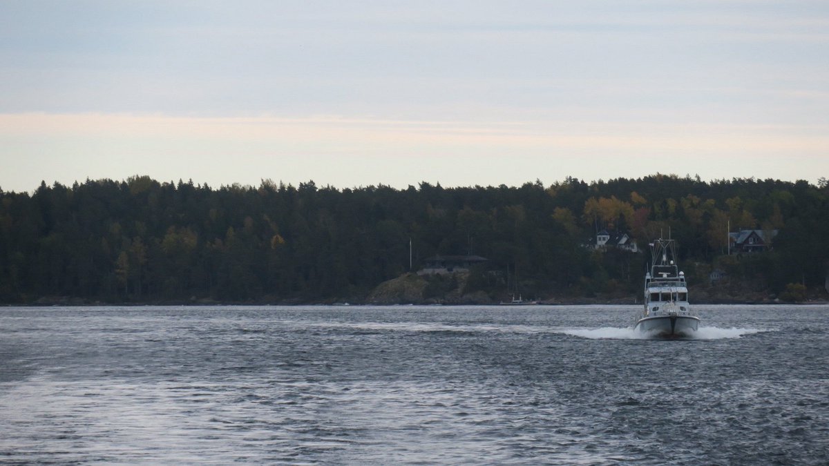 HMS Puncher tweet media