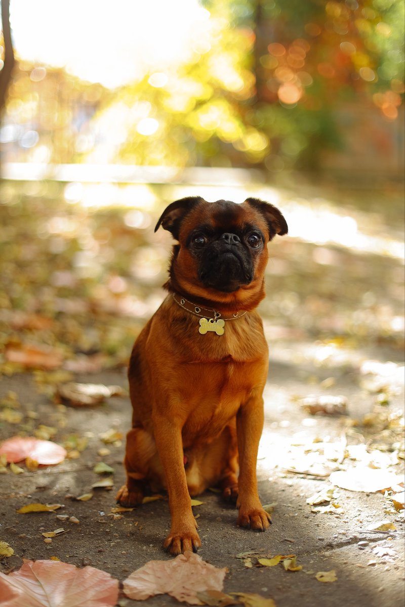 Bday Boy
🤎💛🖤🧡