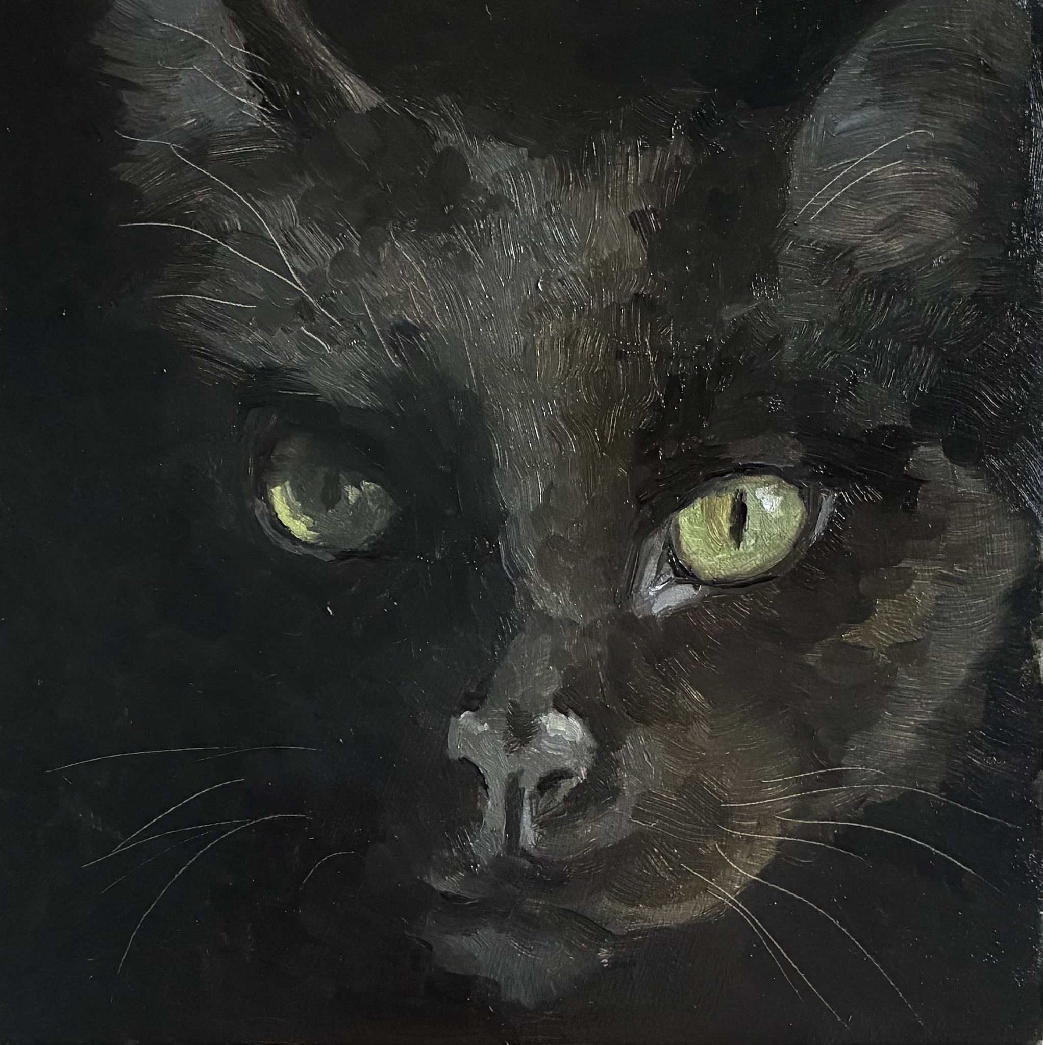 猫の絵painterTMK真筆 猫油絵動物の絵動物画油絵絵画モフモフ 猫