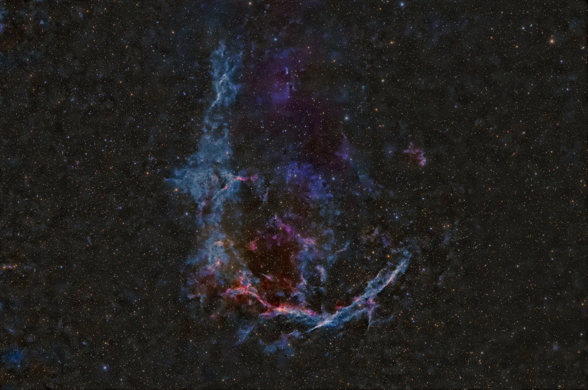 ☀モグアイページ Amazon.co.jp: ギズモ 13インチ モグワイ ドール ぬいぐるみ ブラウン