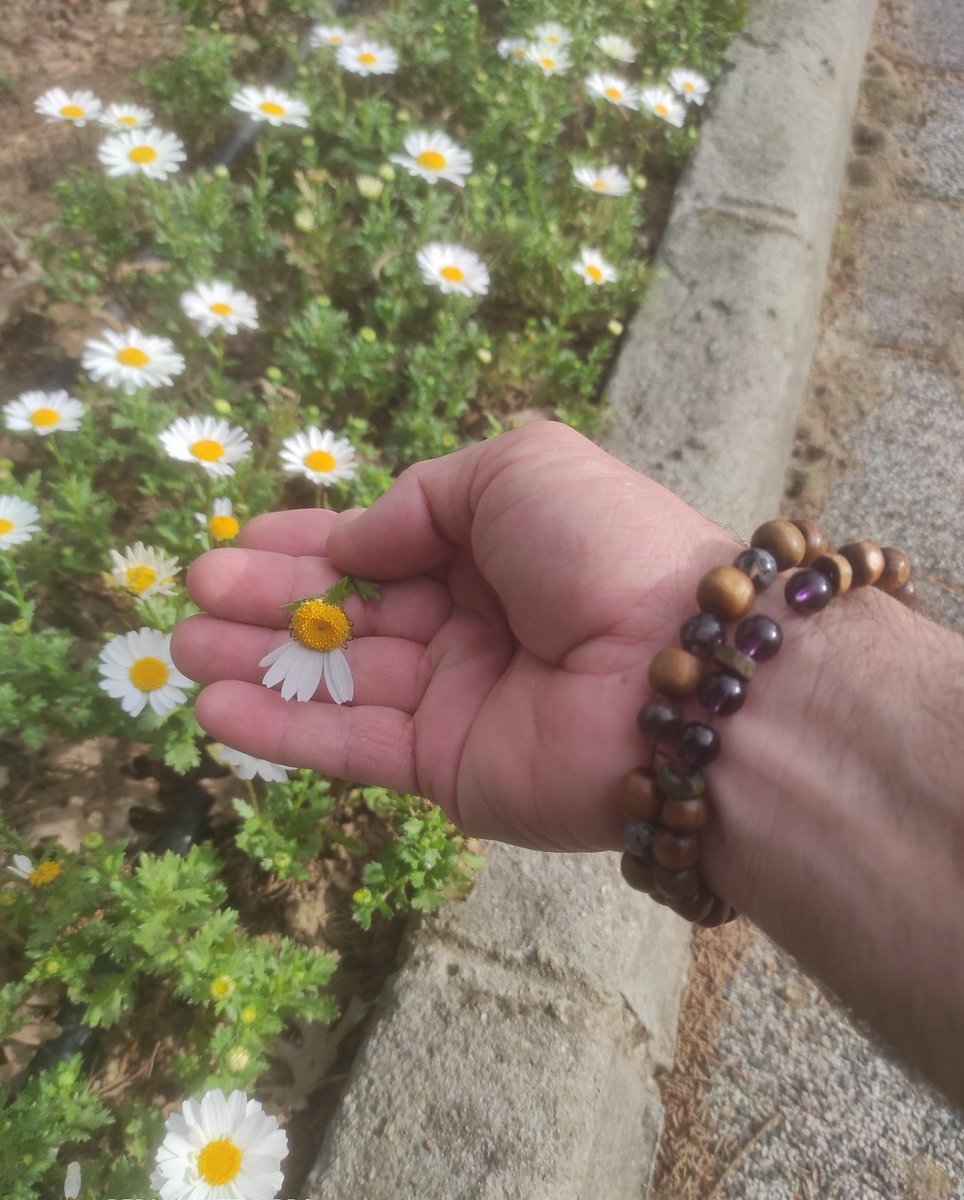 ..
Kalp Hicran Gamı Çeker Ağlamaz Belalarla 
   Hem Derdin Hem Belanın Ezelden Mutadıyam.