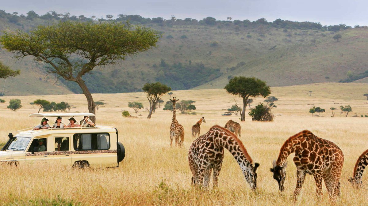 SafarisBigzone's tweet photo. 🌟 Your Safari Isn’t Just a Trip—It’s a Legacy.

Visit our Website https://t.co/PFhf2tuS0m

#TravelWithPurpose #BigzoneSafaris #SustainableTravelAfrica #KenyaTanzaniaImpact #SafariWithHeart #ResponsibleTourism https://t.co/ydbQ0hnitL