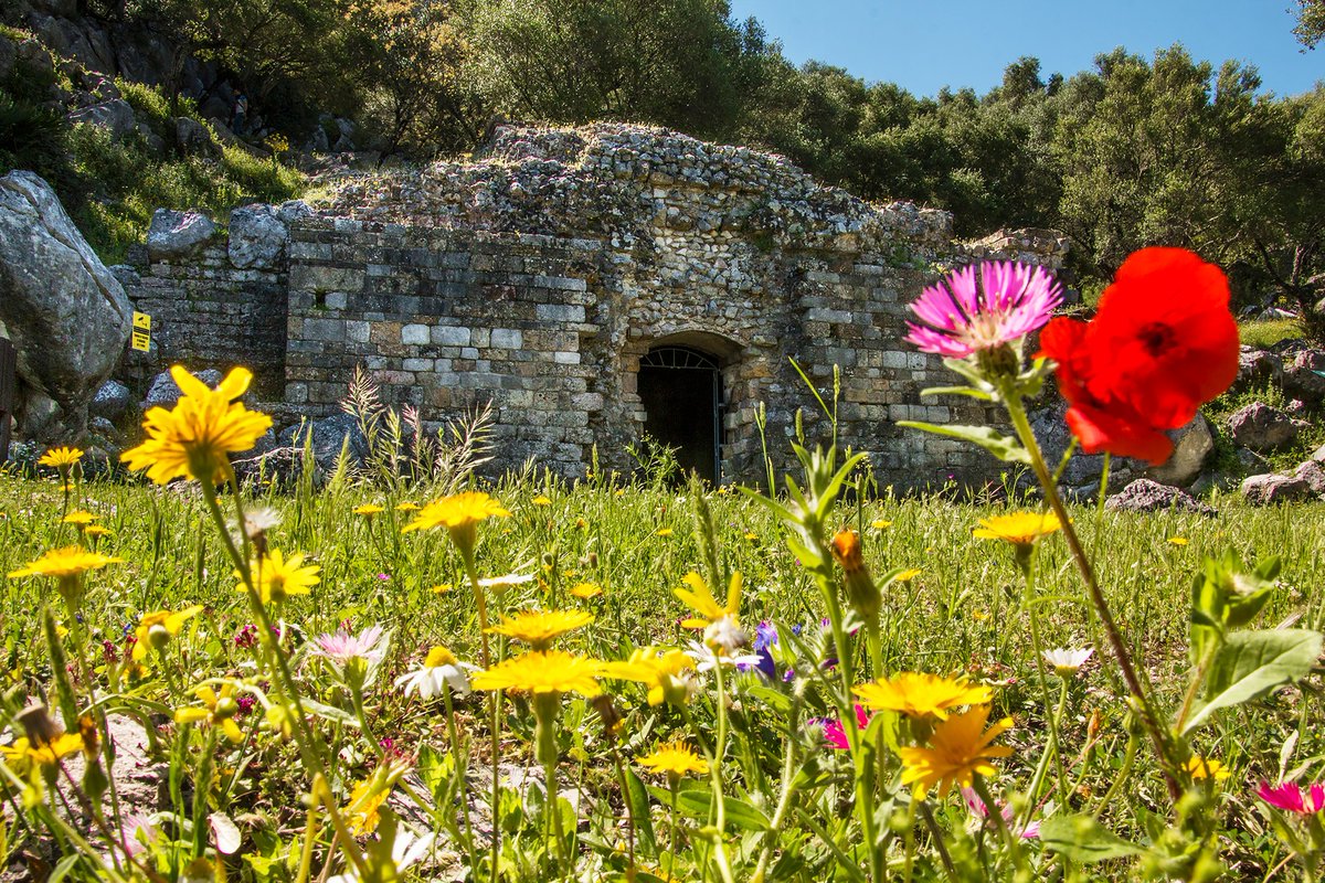 Turismo de la provincia de Cádiz tweet media