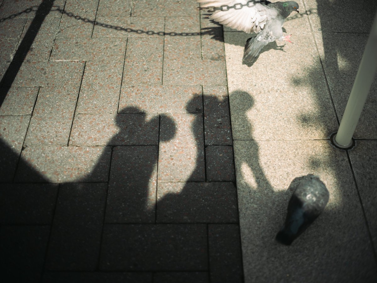 Tweet media one