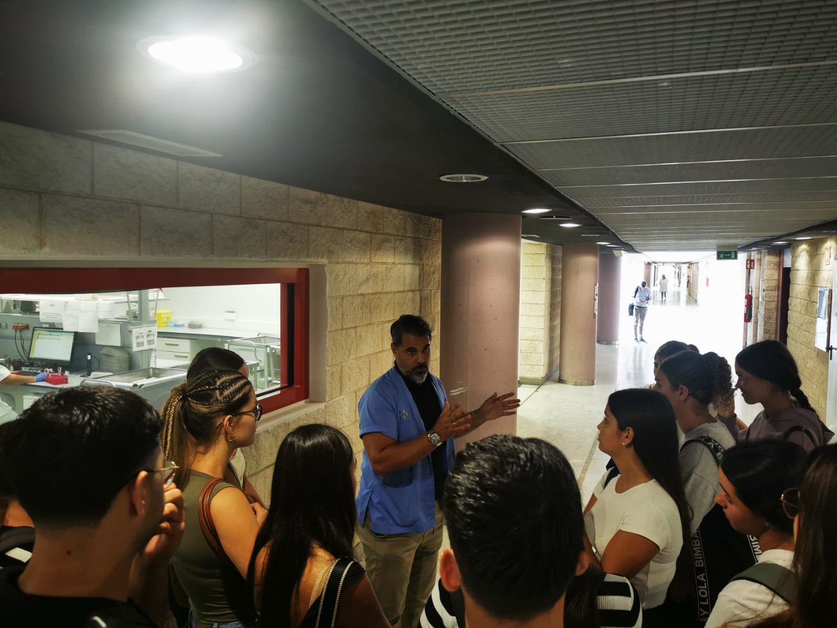 IES El Rincón tweet media