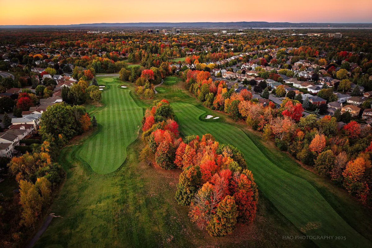 TimmyBonnar's tweet image. My office