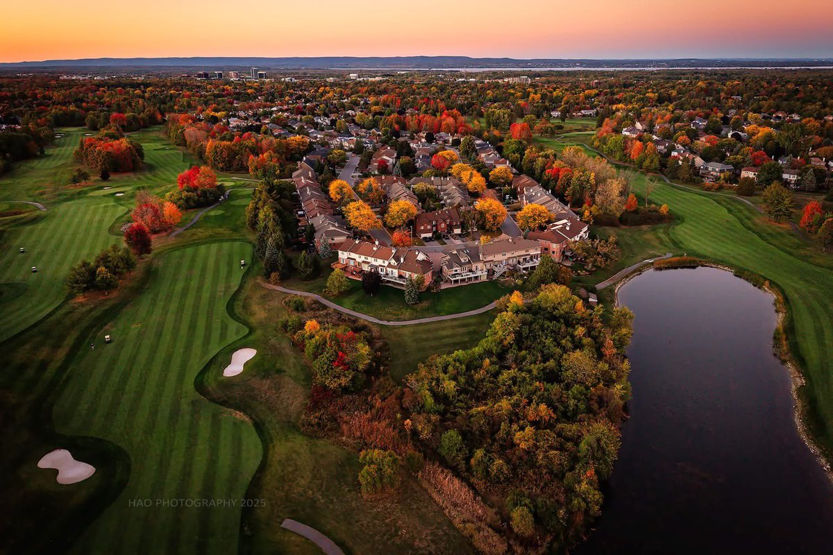 TimmyBonnar's tweet image. My office