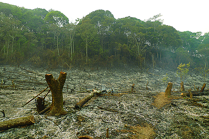 jica_direct_en's tweet image. The 8th of October is the “Day of Tree” in Japan.
🌳 #JICA is helping protect #Laos ’ forests through REDD+! With satellite-based monitoring and community engagement, 🇱🇦🤝🇯🇵
#REDDPlus #ClimateAction #ForestConservation