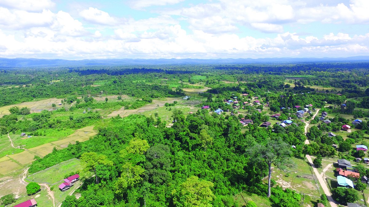 jica_direct_en's tweet image. The 8th of October is the “Day of Tree” in Japan.
🌳 #JICA is helping protect #Laos ’ forests through REDD+! With satellite-based monitoring and community engagement, 🇱🇦🤝🇯🇵
#REDDPlus #ClimateAction #ForestConservation