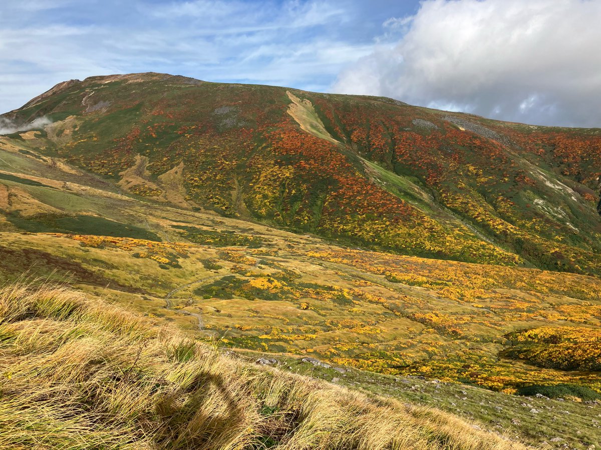 Ishii_Utunomiya's tweet image. 登山担当の鈴木です😁
一昨日は月山に行ってきました⛰️
紅葉は見頃を迎えており、絶景を拝んできました🍁

月山は天候の変化が激しい山です⛰️
秋山登山ではレイヤリングがより一層重要になります👌
レイヤリングの相談は随時受け付けておりますので是非店頭までお越しください👍