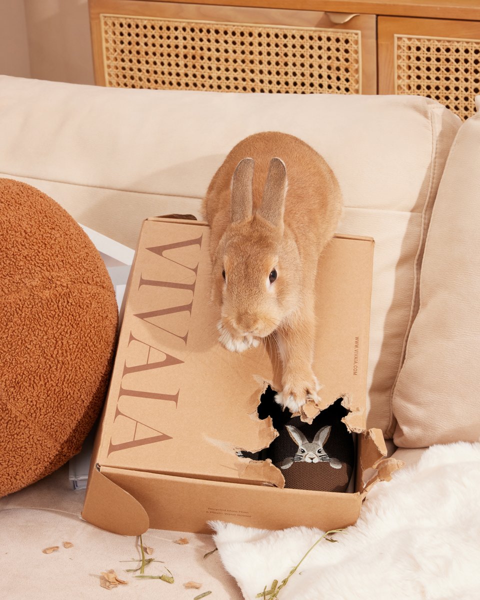 vivaia_official's tweet image. I think my rabbit has a secret identity — Bunnyman, and he thinks he just rescued my favorite shoes! 

reurl.cc/ekN4eQ

#VIVAIA #VIVAIAAudrey #Pawrent #bunny