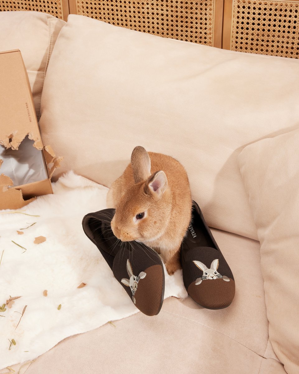 vivaia_official's tweet image. I think my rabbit has a secret identity — Bunnyman, and he thinks he just rescued my favorite shoes! 

reurl.cc/ekN4eQ

#VIVAIA #VIVAIAAudrey #Pawrent #bunny