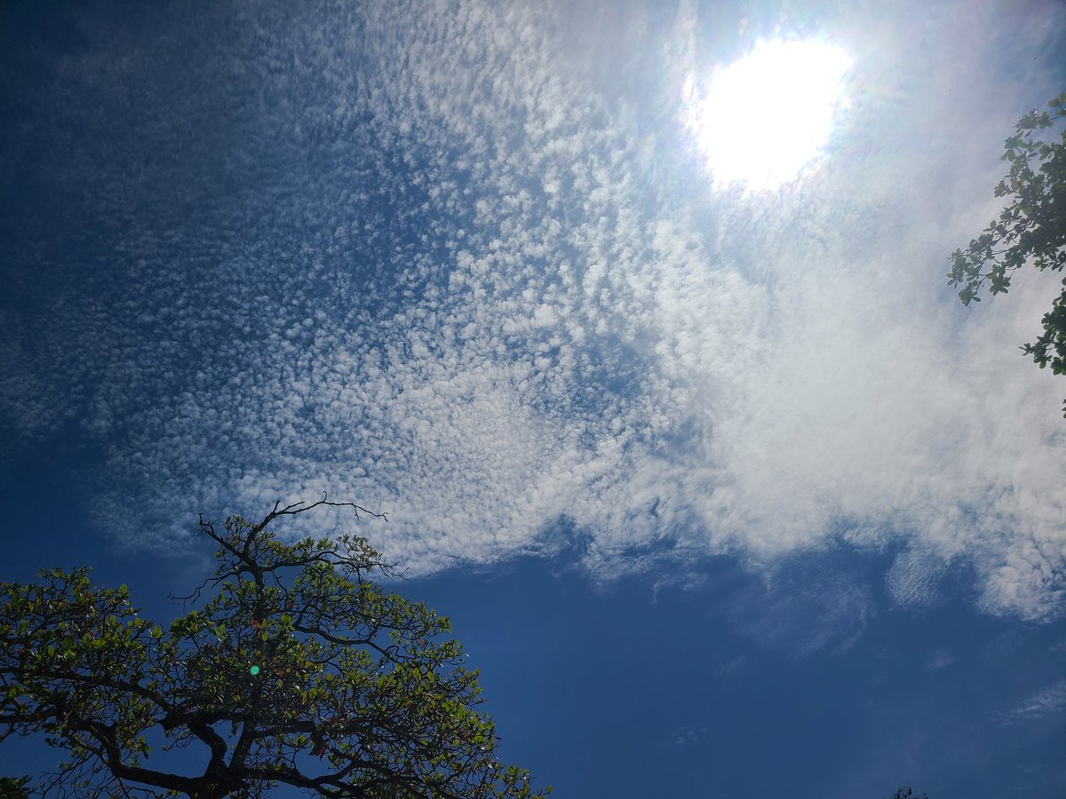 Took some shots of the sky with my Samsung 

#samsung #galaxyS20 #sky #sunrise #oau