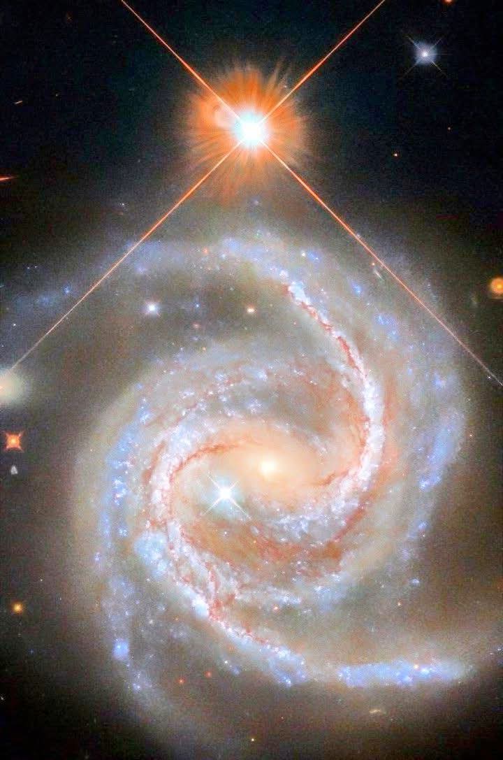 NGC 5495: Barred Spiral GalaxyNGC 5495 is a large barred spiral galaxy in Hydra, discovered by John Herschel on May 13, 1834.It has luminosity class III, a broad HI line, regions of ionized hydrogen, and is classified as a Seyfert 2 active galaxy.Image Credit: