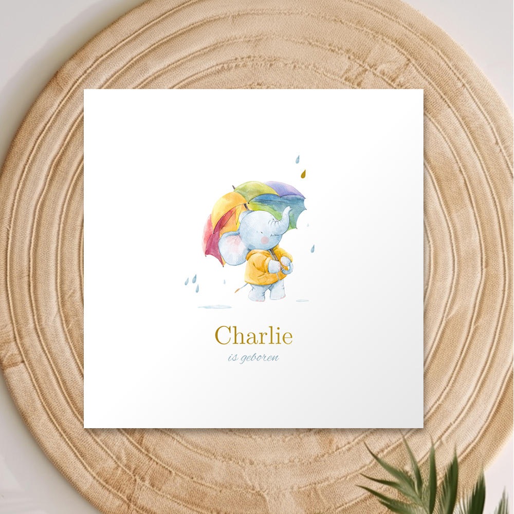 Schattig #geboortekaartje met goudfolie naam, regendruppels en een lief olifantje met kleurrijke paraplu. Een leuk kaartje om je #herfstkindje mee aan te kondigen!
koningkaart.nl/geboortekaartj…