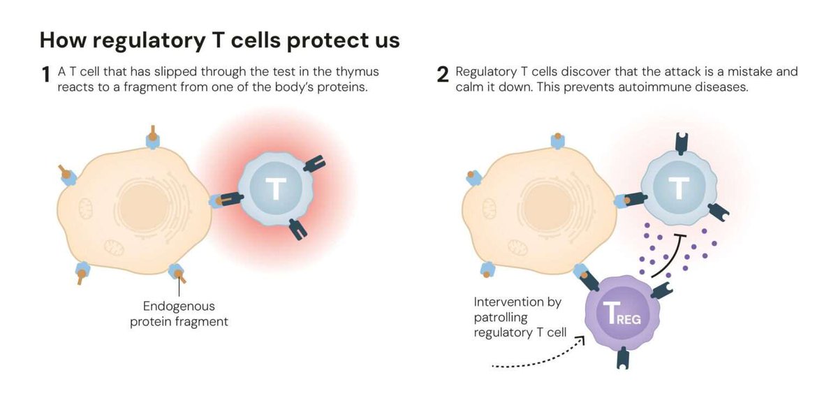 Can anyone explain why this is worthy of the Nobel prize in medicine, and how it applies to gastroenterology?