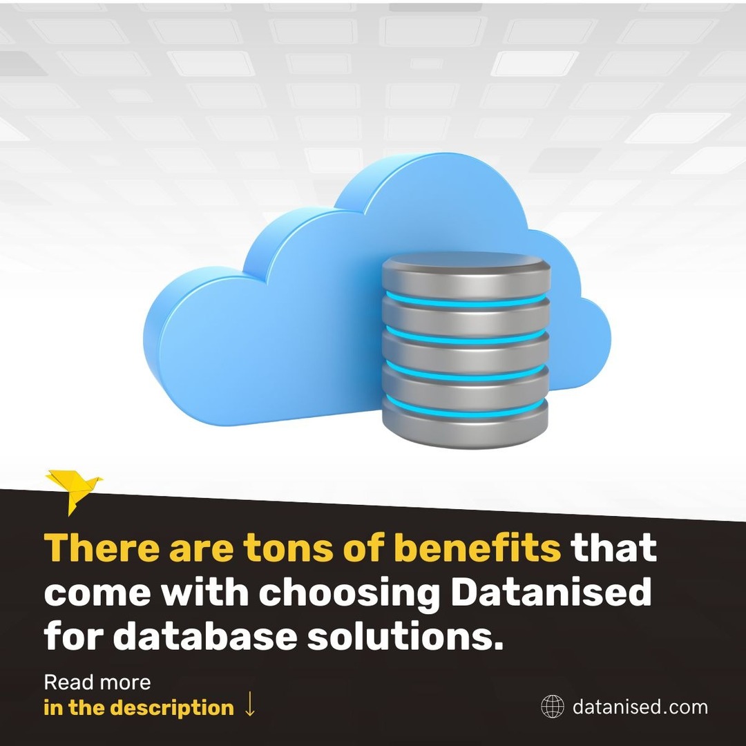 datatechne's tweet image. We offer diverse #Data and #DatabaseManagement solutions. Some examples include:

💡24/7 Support for OSS technologies 
💡Data analytics
💡Database technologies training

Explore our data and database management solutions here: heyor.ca/5GLZ5s
#Datanised
