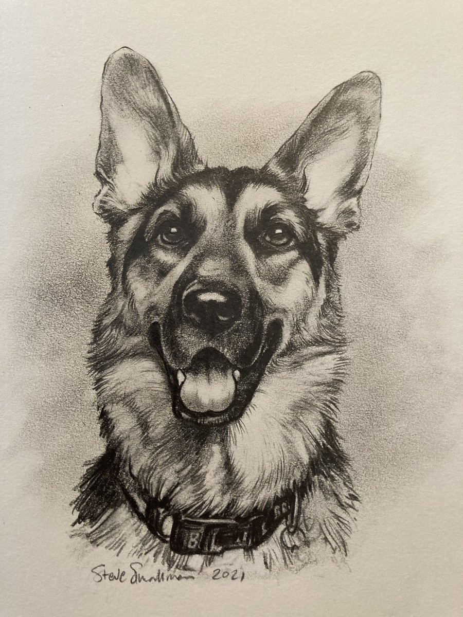 Steve Smallman tweet media