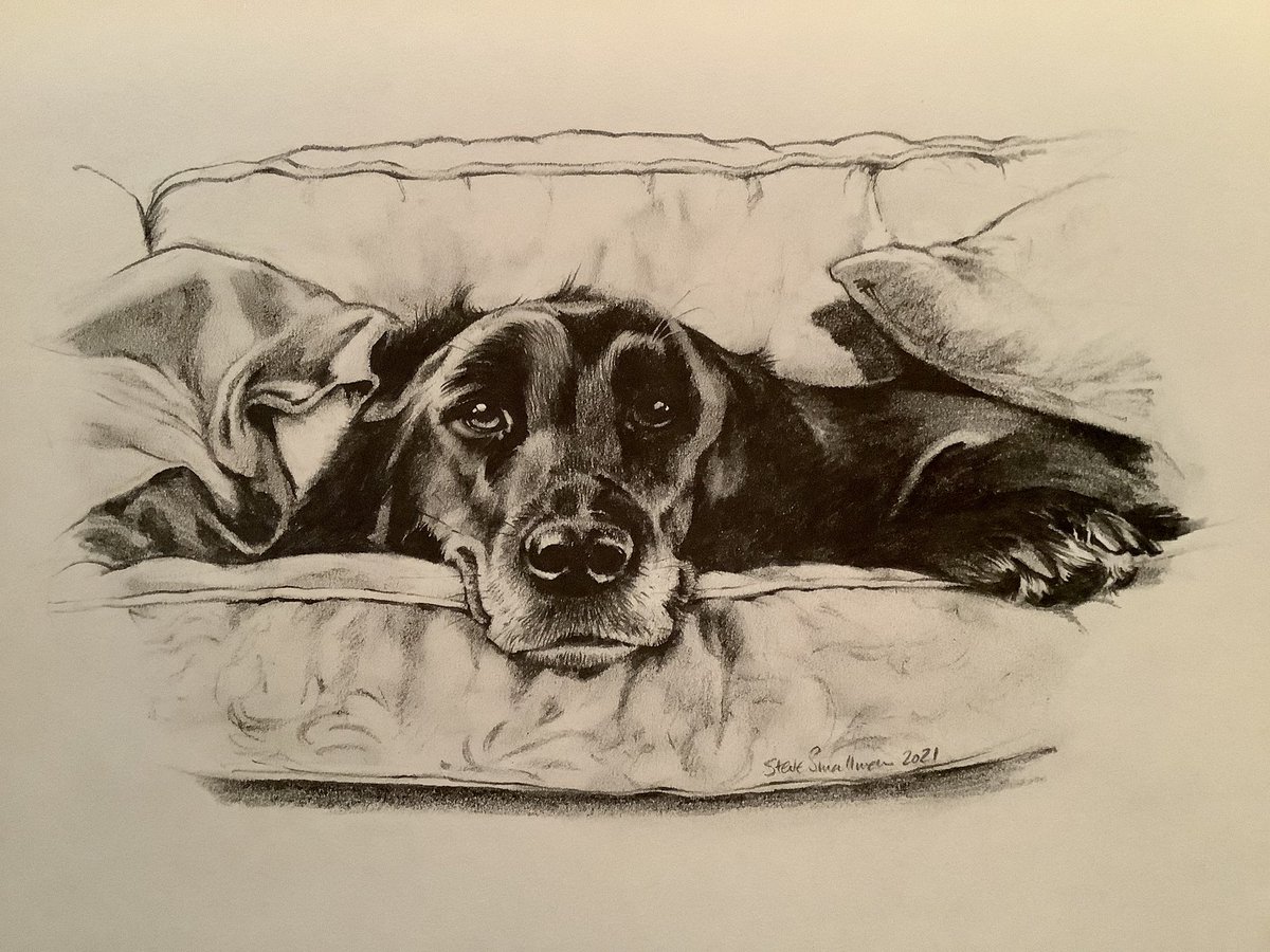 Steve Smallman tweet media