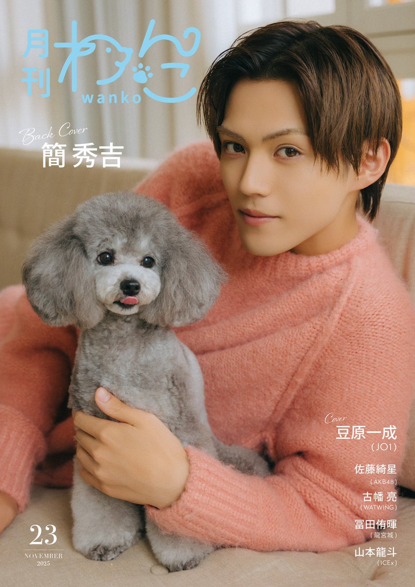 ◆ わらのいぬです。　◆ ワンDK デラックス (晋遊舎ムック) | 晋遊舎 |本 | 通販 | Amazon