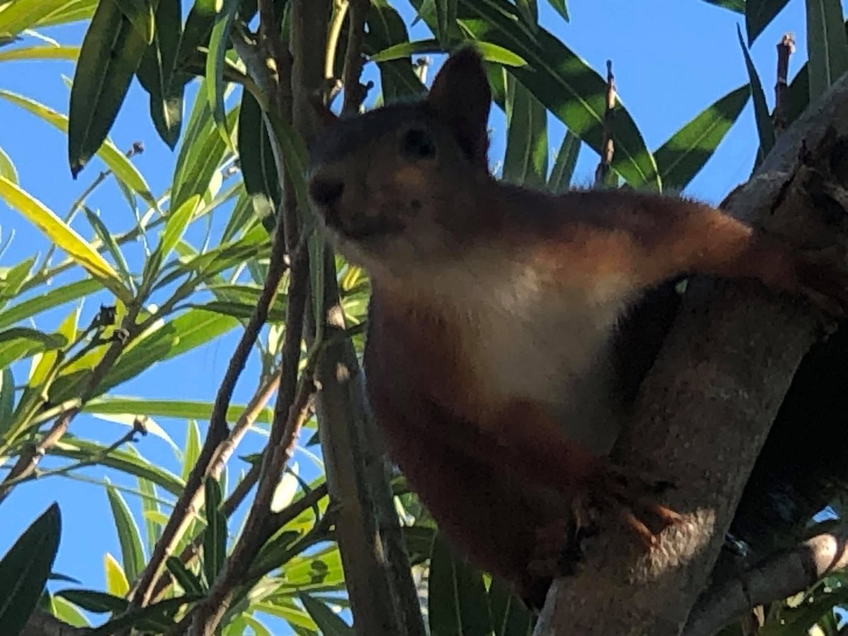 neverexplain61's tweet image. #PortLeucate 😊 📷 perso 🐿️