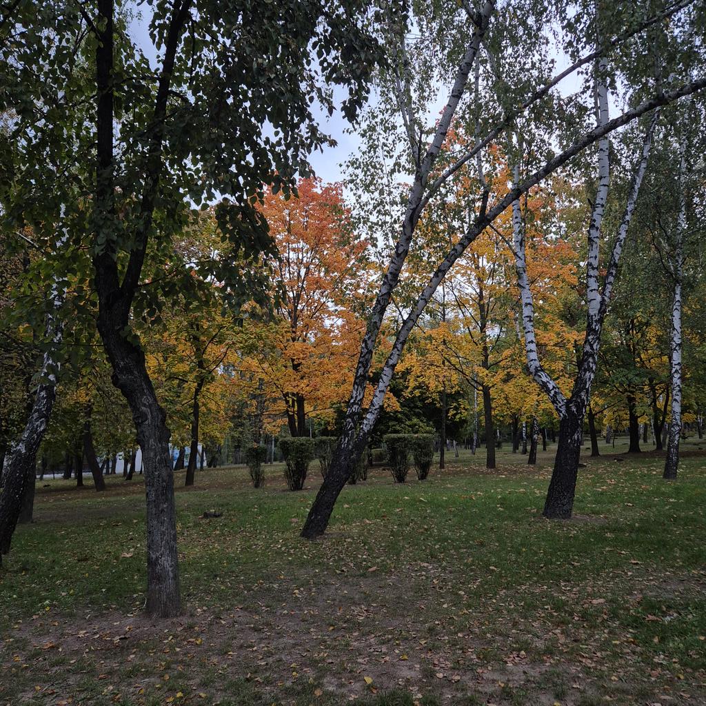 Мряка