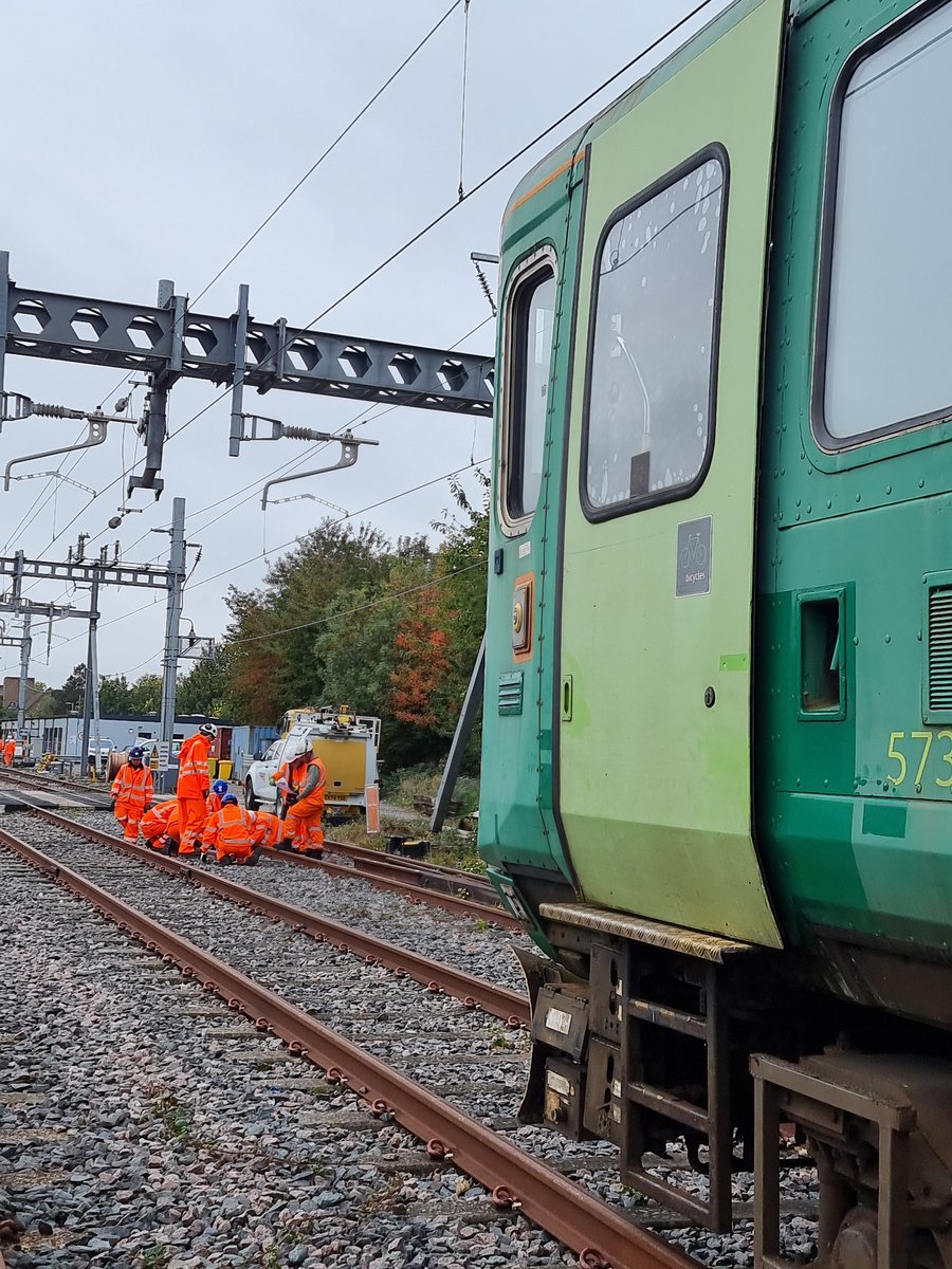 Noel Dolphin tweet media