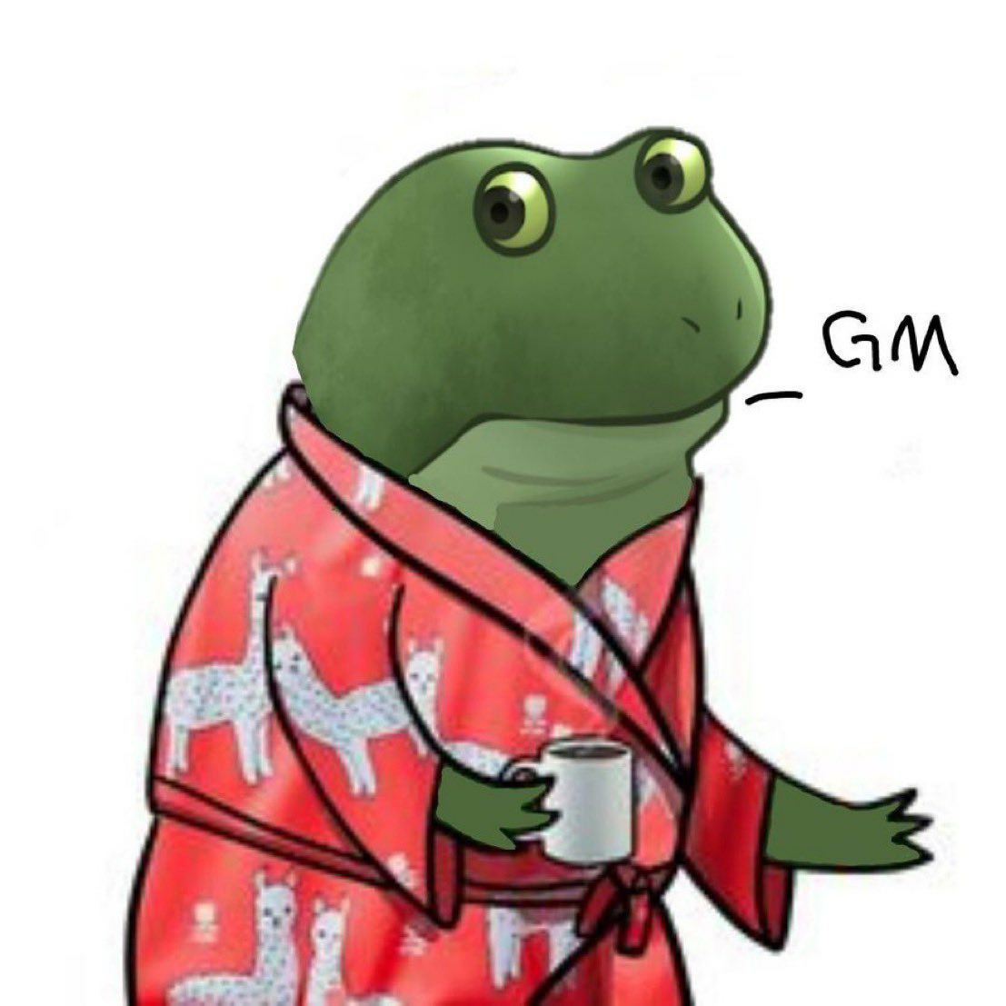 BscfCrusader's tweet image. gm from @FrogeVIP open ai official mascot $froge