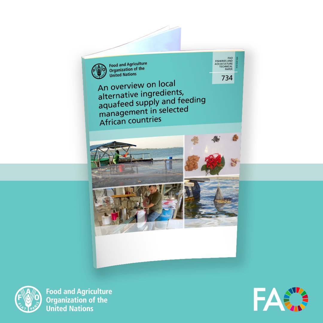 High-quality aquafeed is vital for Africa's aquaculture.

This <a href="/FAOfish/">Fisheries & Aquaculture</a> paper reviews feed supply &amp; practices in 9 countries, sharing lessons &amp; actions to strengthen local production, innovation &amp; sustainability across the sector.

More 👉 doi.org/10.4060/cd5754e