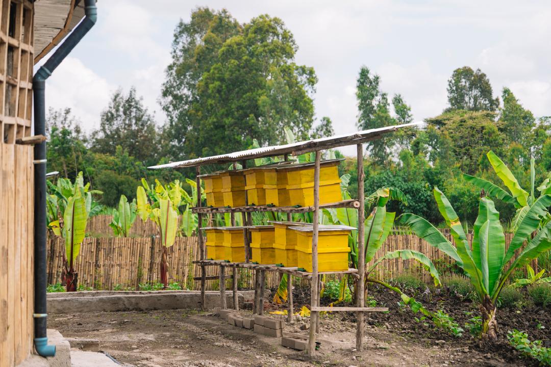 AbiyAhmedAli's tweet photo. Today, we officially handed over the model rural villages built through our Rainy Season Voluntary Scheme in the Halaba and Kembatta zones to their new residents. These villages mark a promising beginning in transforming the lives of our farmers. The houses are powered by solar energy, use biogas from animal waste for cooking, and include independent living spaces, toilets, and service quarters. Separate animal shelters have also been built, improving hygiene and living conditions. These Rural Corridor Villages will continue to expand as part of our vision to raise rural living standards. Over the past seven years, our Rainy Season Initiative has provided housing for those in need in cities. Now, through the Rural Corridors Initiative, we are extending this progress to rural areas. I encourage individuals, corporations, and members of the diaspora to support and participate in these efforts to enhance farmers’ livelihoods.

I also commend the leadership who completed the Hambericho Mountain stairs. a challenge I set during my last visit, accomplished impressively through local initiative in a very short time. Looking ahead, I urge local leadership to expand these model villages to 100 houses per zone by next year through collaboration with various stakeholders.