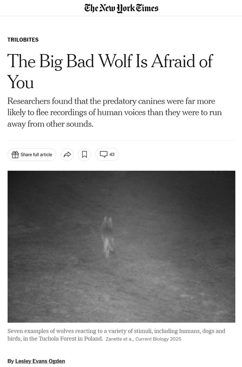Michał Żmihorski (@mzmihorski) on Twitter photo Wczoraj Le Monde, dziś o innych naszych badaniach w New York Times - a publikacja w Current Biology, pierwszy i ostatni autor z IBS PAN!
cc <a href="/PAN_akademia/">Polska Akademia Nauk</a> Wczoraj Le Monde, dziś o innych naszych badaniach w New York Times - a publikacja w Current Biology, pierwszy i ostatni autor z IBS PAN!
cc <a href="/PAN_akademia/">Polska Akademia Nauk</a>