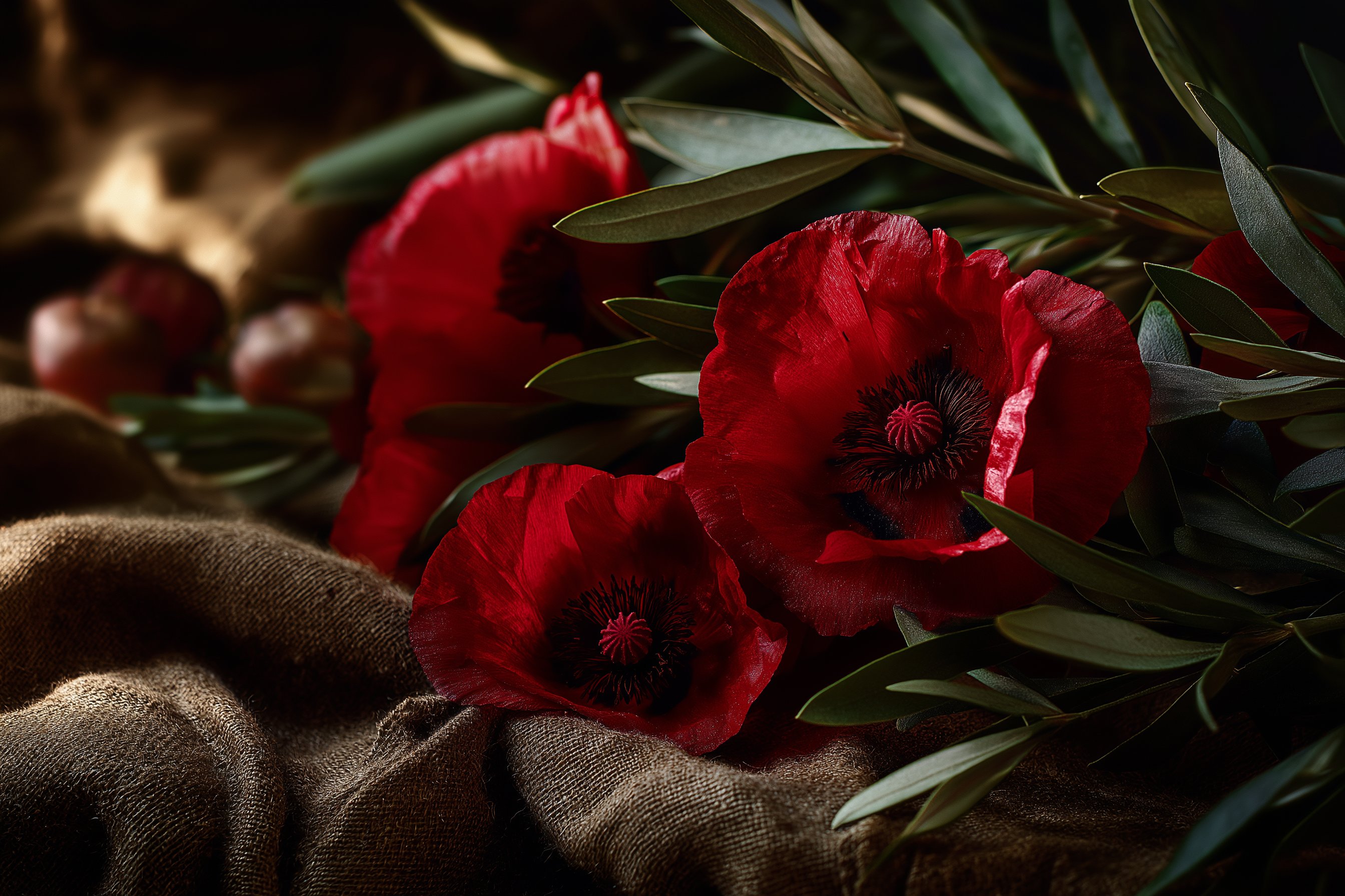 MR RiRo | CryptoChiapas (@mr___riro) / X