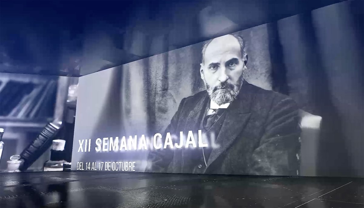 José Adserias tweet media